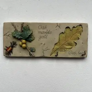 Decorative Oak Leaf Key Rack Wall Hooks Nature Ladybird Plaque